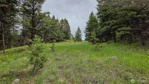 196 Davies Road Oroville WA 98844