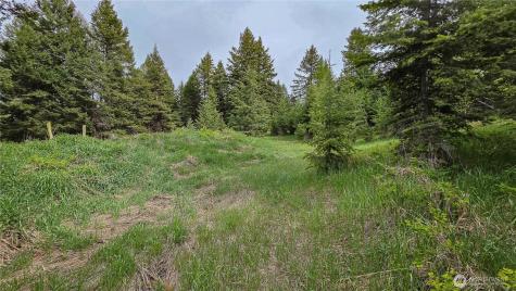 196 Davies Road Oroville WA 98844