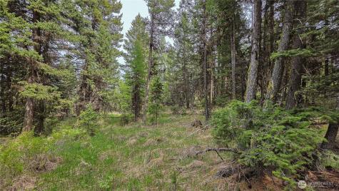 196 Davies Road Oroville WA 98844