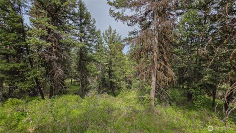 196 Davies Road Oroville WA 98844