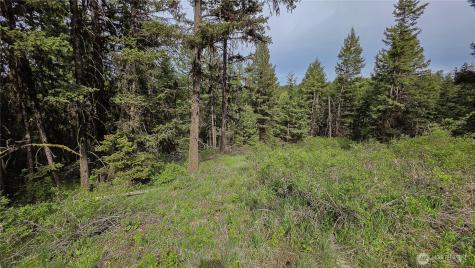 196 Davies Road Oroville WA 98844