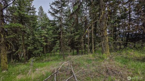 196 Davies Road Oroville WA 98844