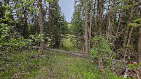 196 Davies Road Oroville WA 98844