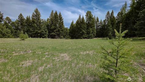 196 Davies Road Oroville WA 98844