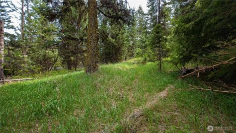 196 Davies Road Oroville WA 98844