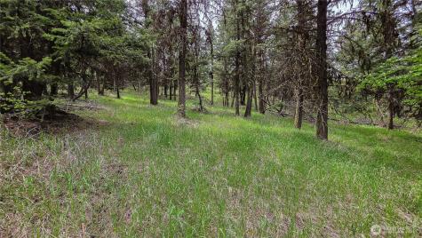 196 Davies Road Oroville WA 98844