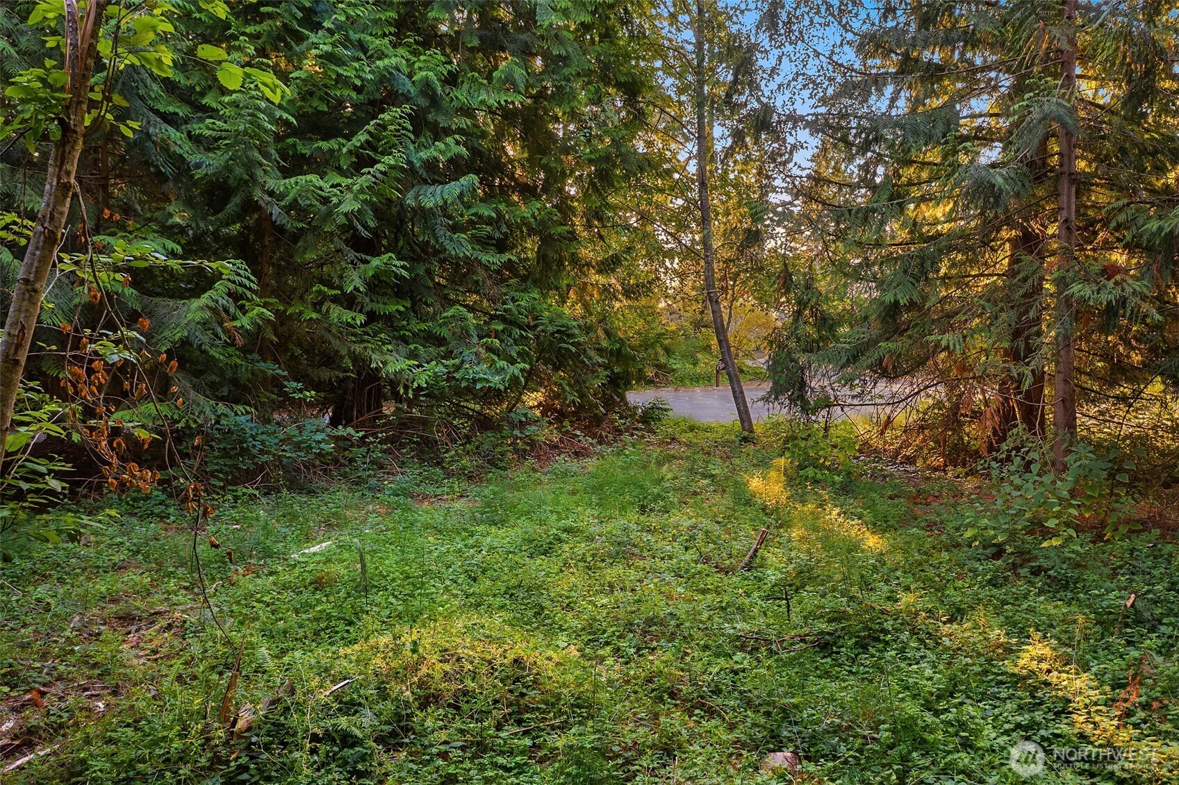 107 133rd Street SW Vashon WA 98070
