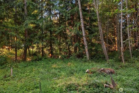 107 133rd Street SW Vashon WA 98070