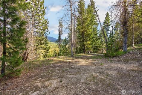0 Salal Drive Leavenworth WA 98826