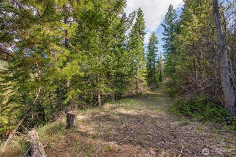 0 Salal Drive Leavenworth WA 98826