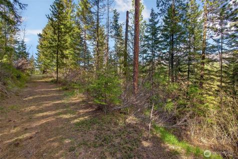 0 Salal Drive Leavenworth WA 98826