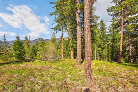 0 Salal Drive Leavenworth WA 98826