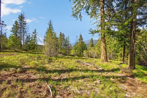 0 Salal Drive Leavenworth WA 98826