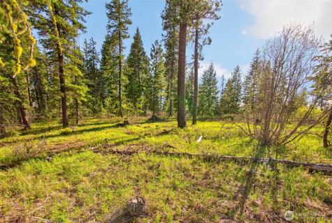 0 Salal Drive Leavenworth WA 98826