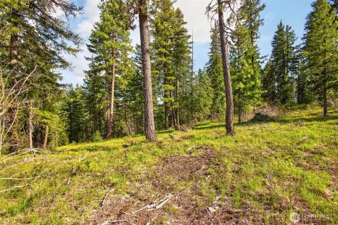 0 Salal Drive Leavenworth WA 98826
