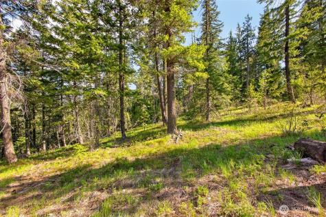 0 Salal Drive Leavenworth WA 98826