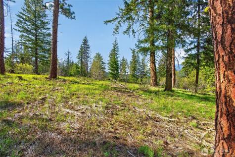 0 Salal Drive Leavenworth WA 98826