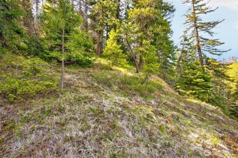 0 Salal Drive Leavenworth WA 98826