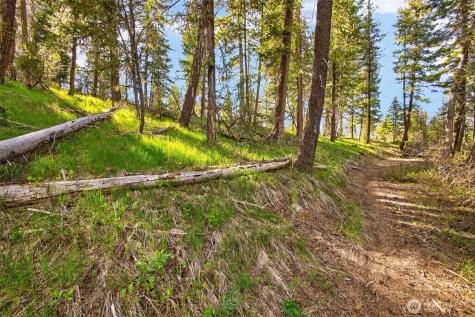 0 Salal Drive Leavenworth WA 98826