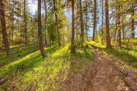 0 Salal Drive Leavenworth WA 98826