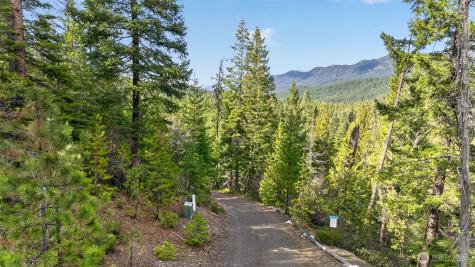 0 Salal Drive Leavenworth WA 98826