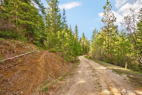 0 Salal Drive Leavenworth WA 98826