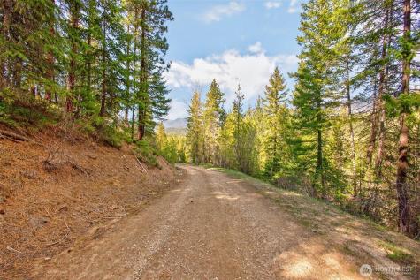 0 Salal Drive Leavenworth WA 98826