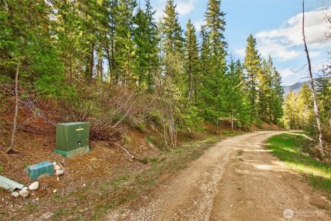 0 Salal Drive Leavenworth WA 98826
