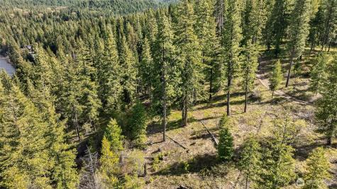 0 Salal Drive Leavenworth WA 98826