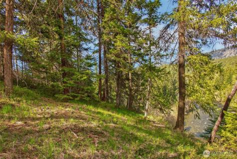 0 Salal Drive Leavenworth WA 98826