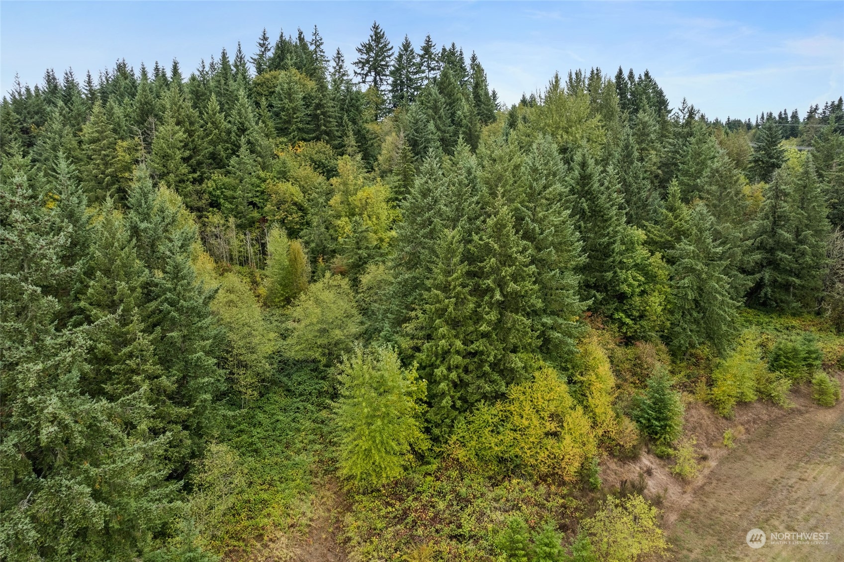 2585 Jackson Highway Chehalis WA 98532
