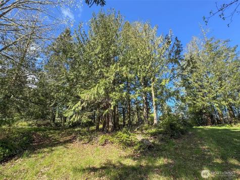 9999 Elks Pass Road Sequim WA 98382