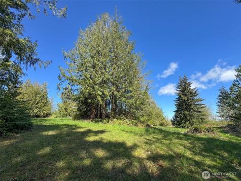 9999 Elks Pass Road Sequim WA 98382