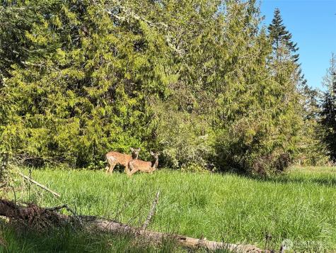 9999 Elks Pass Road Sequim WA 98382
