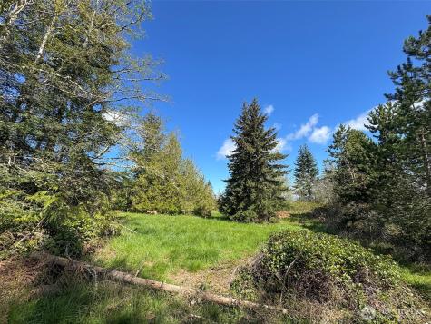 9999 Elks Pass Road Sequim WA 98382