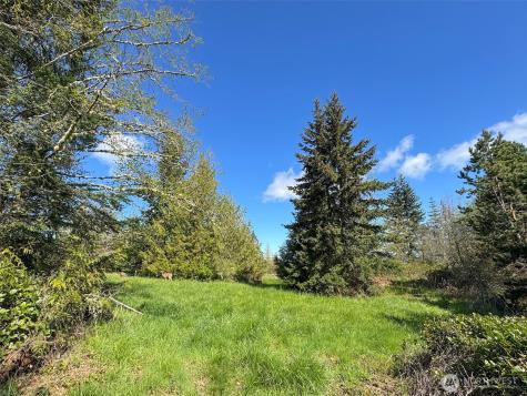 9999 Elks Pass Road Sequim WA 98382