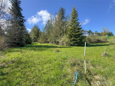 9999 Elks Pass Road Sequim WA 98382