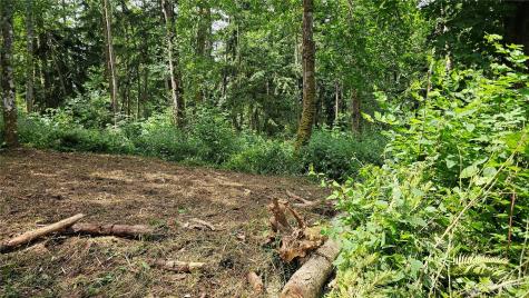 0 Dove Drive Camano Island WA 98282
