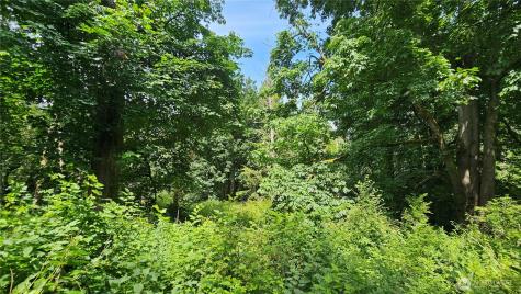 0 Dove Drive Camano Island WA 98282