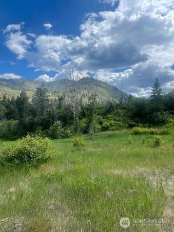 0 Lot 3 Black Canyon Road Pateros WA 98846
