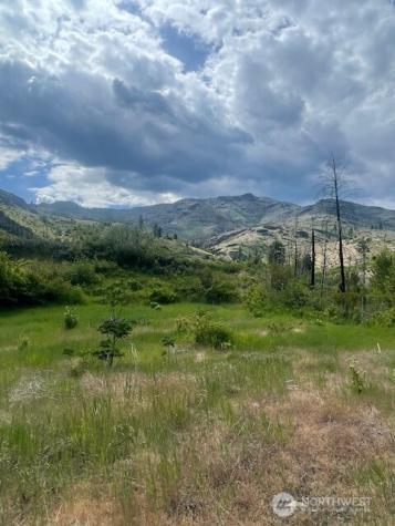 0 Lot 3 Black Canyon Road Pateros WA 98846
