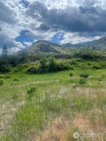 0 Lot 3 Black Canyon Road Pateros WA 98846