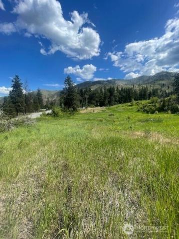 0 Lot 3 Black Canyon Road Pateros WA 98846