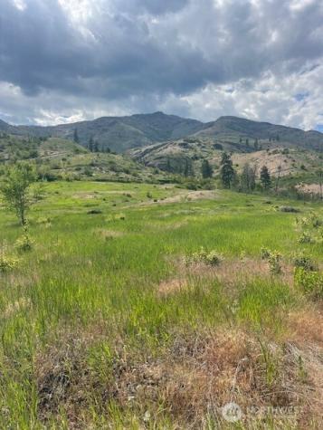0 Lot 3 Black Canyon Road Pateros WA 98846