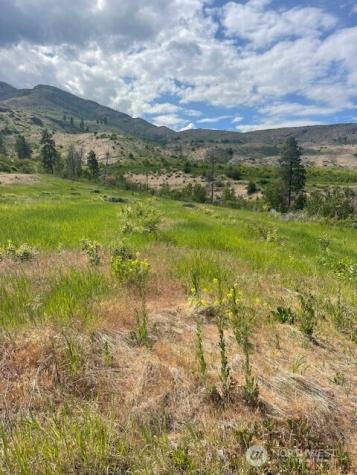 0 Lot 3 Black Canyon Road Pateros WA 98846