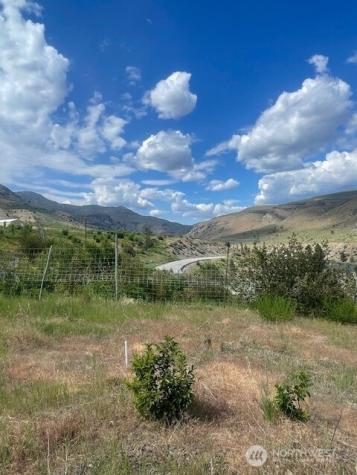0 Lot 3 Black Canyon Road Pateros WA 98846