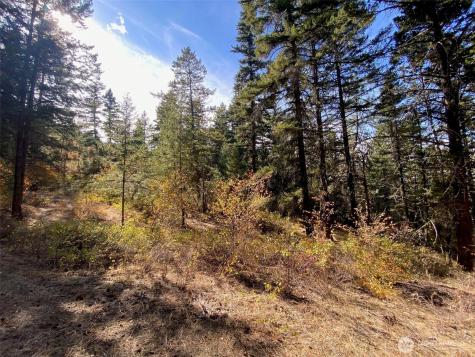 8888 Deer Creek Drive Waterville WA 98858