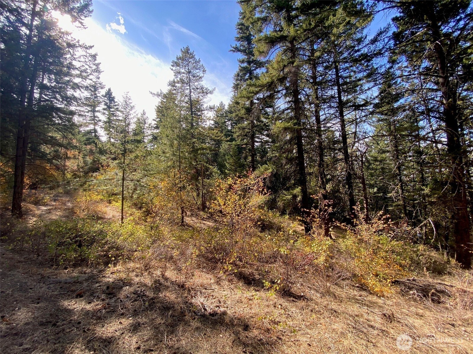 8888 Deer Creek Drive Waterville WA 98858