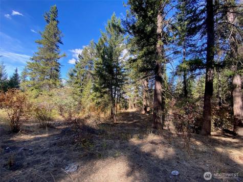 8888 Deer Creek Drive Waterville WA 98858