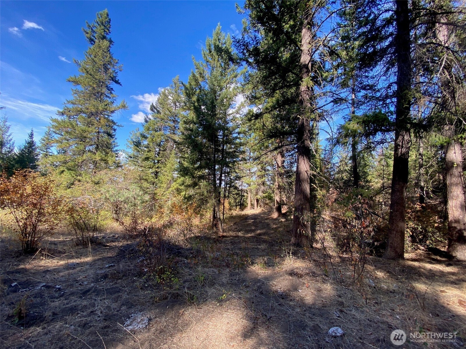 8888 Deer Creek Drive Waterville WA 98858